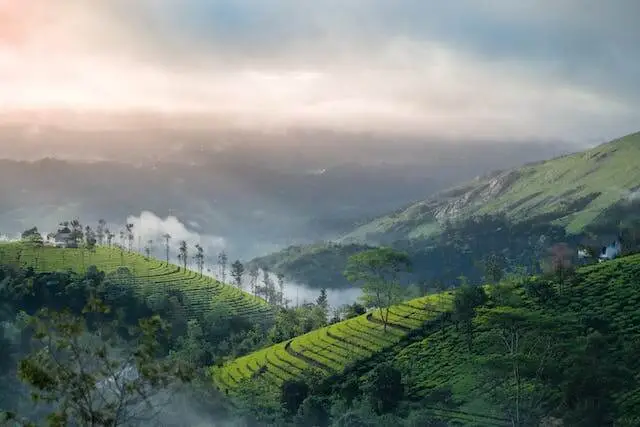 Munnar - Tranquil Retreat in the Western Ghats
